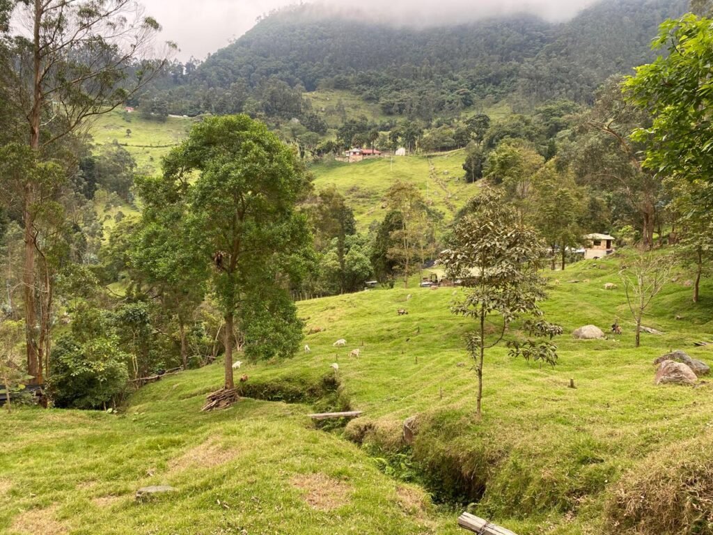 Se vende hermosa finca vía  Bogotá- la mesa