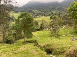 Se vende hermosa finca vía  Bogotá- la mesa